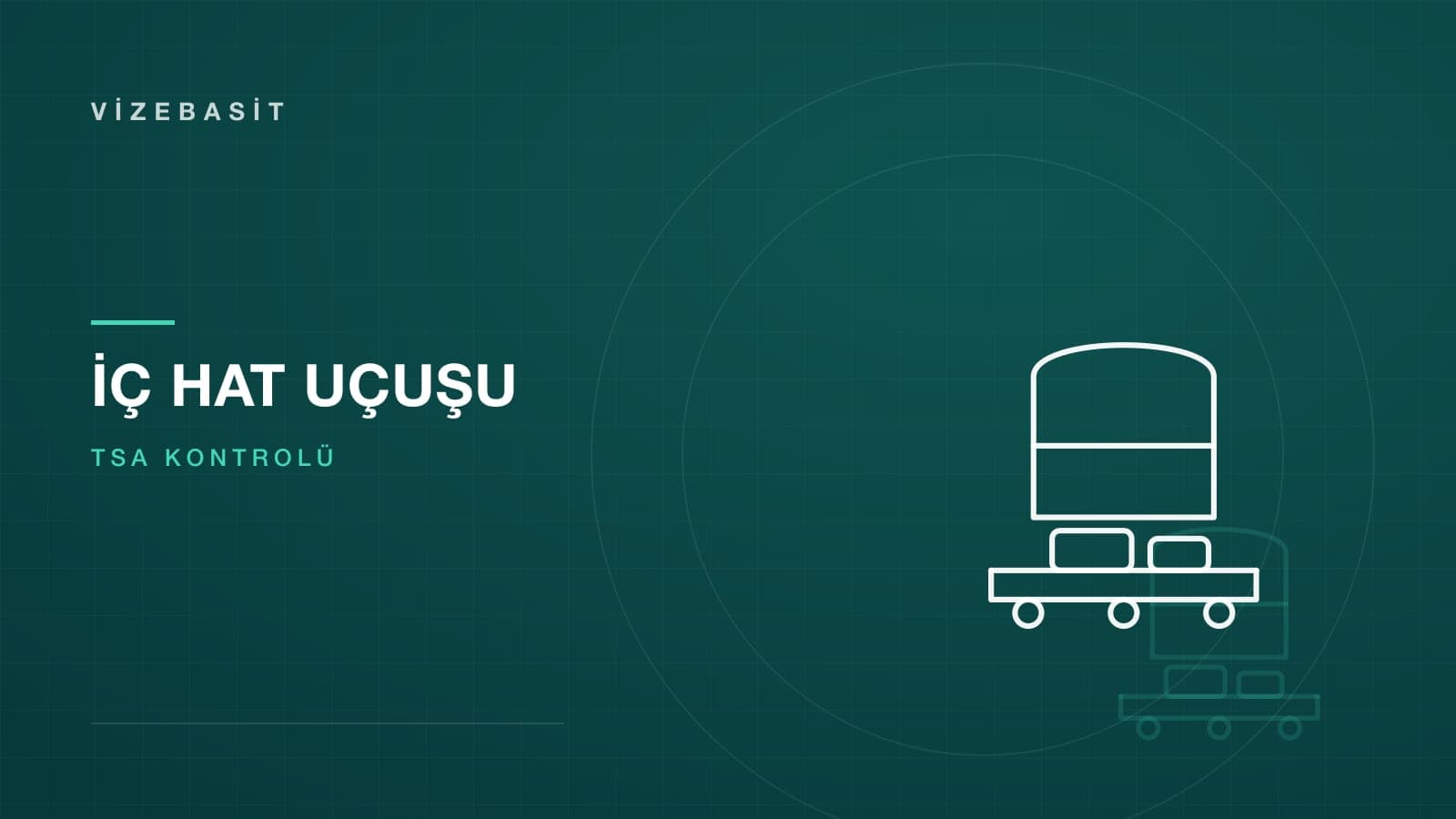 ABD iç hat uçuşu ve TSA kontrolü için uçak ve biniş kartı motifli kapak görseli