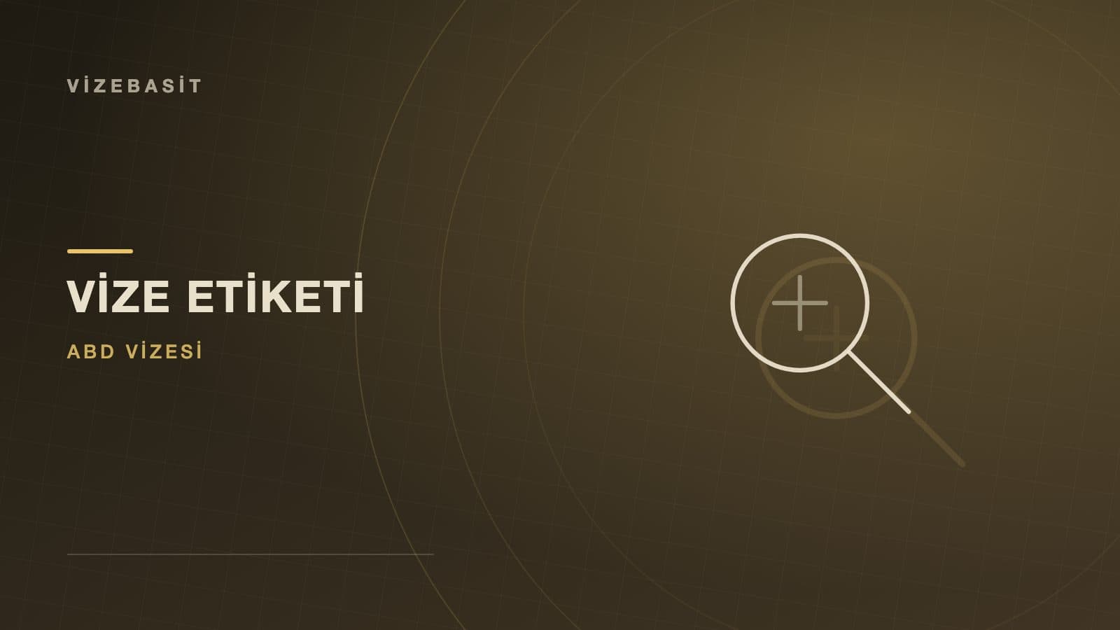 Vize etiketi hata kontrolü konulu büyüteç motifli kapak görseli