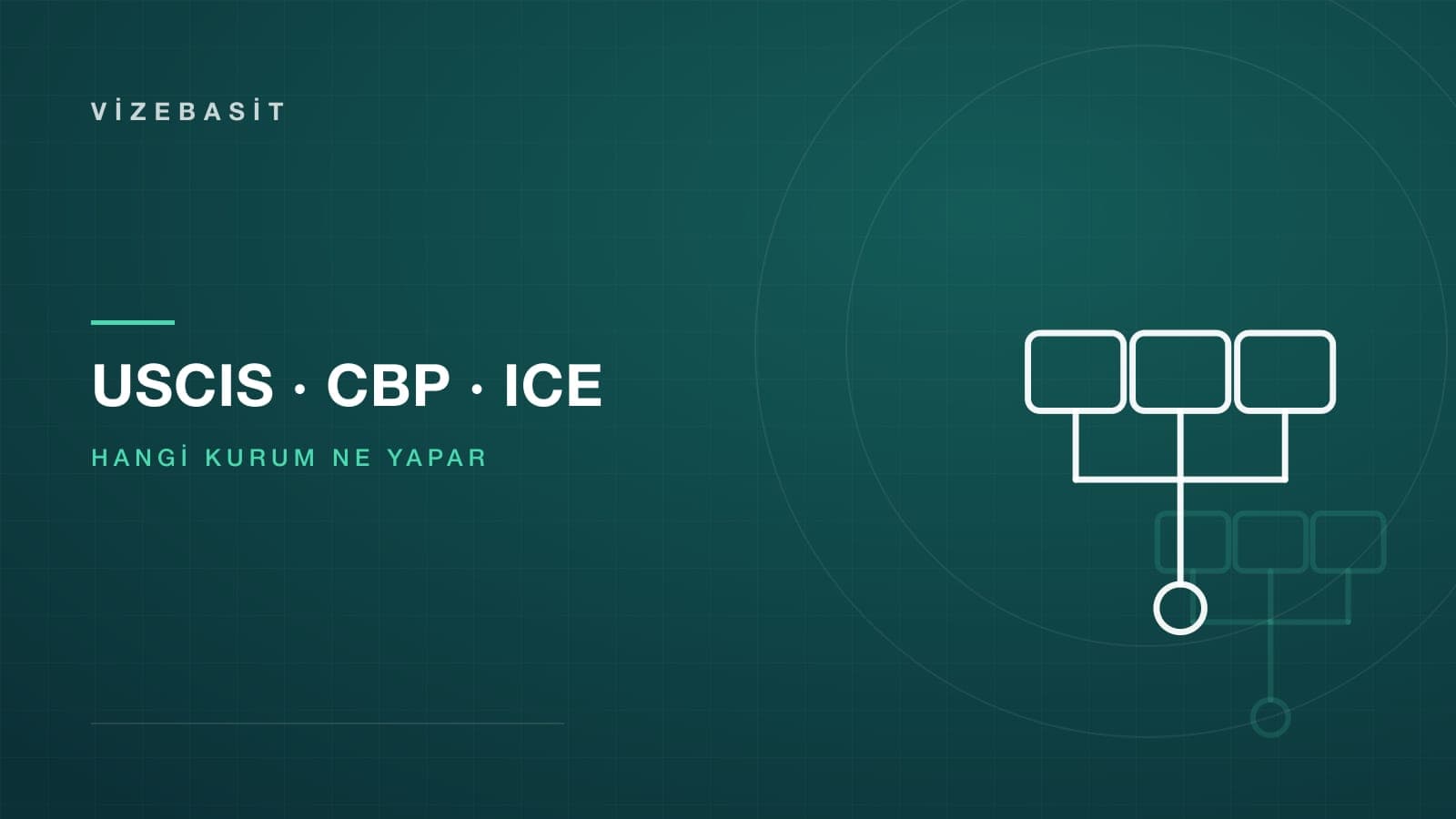 USCIS, CBP ve ICE farkı için üç kutuya ayrılan kurum şeması motifli kapak görseli